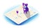 lose and found pet cat and dog on GPS map. AI generative