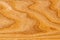 Ð¡lose-up Ash Texture with natural wood grain patterns. Smooth wooden surface for the design of facades and floors. Clear polish.