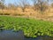 Loskop Nature Reserve