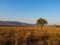 Loskop Nature Reserve