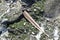 A lost bird`s feather on gray basalt blocks of seawall