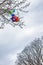 Lost bunch of painted balloons in sky flying away and tangling in the branches