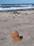 Lost cork in the beach