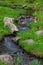 Lost creek in Uinta Wasatch national forest