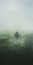 Lost In The Fog: A Fantasy Journey Through A Vast Wetland