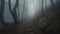Lost in the Fog: A Forest Path Adventure