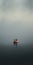 Lost In The Fog: Melancholic Self-portrait Of An Orange Life Raft