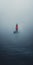 Lost In The Fog: A Mysterious Encounter In The Ocean