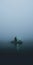 Lost In The Fog: A Surreal Encounter With A Mysterious Figure