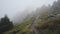 Lost in the mist: A winding mountain trail