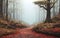 Lost in the Mystical Maze: A Journey Through the Foggy Path of a