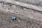 Lost pacifier lies on the side of the road