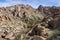 Lost Palms Oasis, Joshua Tree National Park, California