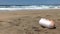 Lost plastic fender polluting a deserted beach.