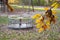 Lost playground in Autumn