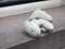 Lost sheep, cuddly toy or stuffed animal laying on the windowsill