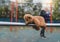 Lost teddy bear doll lying on metal with rain drops at playground in gloomy day, Lonely or sad brown bear abandoned lied down