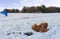 Lost Teddy bear with sad face lying on snow with blurry people,Lonely bear doll laying down on the playground in winter, Lost toy