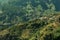 Lost village on top of the mountain, living of terrace farming