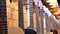 Lot of acoustic guitars hanging in a music store. Shop musical instruments.