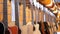 Lot of acoustic guitars hanging in a music store. Shop musical instruments.