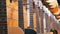 Lot of Acoustic Guitars Hanging in a Music Store. Shop musical instruments.