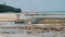 Lot of African Fishing Boats Stranded in Sand off Coast at Low Tide, Zanzibar