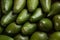 A lot of avocado close up. Healthy and tasty food. Exotic fruit.