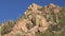 A lot of beautiful Saguaro cactus at a rocky mountain.