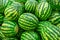 A lot of big sweet green watermelons. Background watermelons