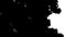 A lot of black ink flows on white moving in slow motion, ink or smoke inject . Black Color cloud in water for Inky or