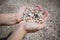 A lot of broken small corals, scrap of sea shell on two hand with blur background