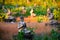 Lot Buddhas statues in Loumani Buddha Garden. Hpa-An, Myanmar (