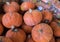 Lot of chestnut pumpkins sold on farmers market