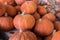 Lot of chestnut pumpkins sold on farmers market