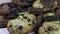 Lot of chip cake cookies with chocolate close-up tilting and Pieces of milk and dark chocolate