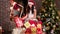 Lot Christmas gift, portrait, pretty girl Santa Claus