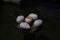 A lot of coins were thrown into the top of the stone table, there are 4 stone eggs, in the middle is probably a faded fake gold