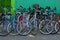 A lot of colored bicycles stand in the parking lot near the wall