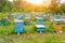 A lot of colorful hives made of wood in the form of boxes on an