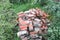 Lot of cracked, burnt, old, clay, red bricks after dismantling building on garden plot in green and yellow flowers Rudbeckia .