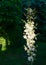 A lot of delicate white flowers Yucca filamentosa plant on sunlight. Beautiful big flowers known as Adamâ€™s needle and thread