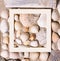 A lot of different sea shells arrangement with white square framed creative copy space. Flt lay on the sunny summer sandy beach