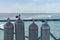 A lot of diving cylinders. oxygen cylinders outdoor. Oxygen cylinders for swimming in the background of the sea