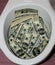 A lot of dollars in a toilet bowl. Money toilet