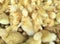 A lot of duckings at a poultry farm