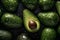 A lot of fresh avocados with water drops close-up, green fruits on a dark background, deep shadows. Top view, flat lay style.