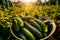 A lot of fresh beautiful young cucumbers in 1690446788274 7