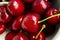 A lot of fresh sweet cherry fruit berries with water drops, close up. Pile of ripe cherries. Large collection of fresh red