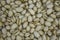 Lot of fresh white golden green pistachio nuts lie in a heap. natural surface texture